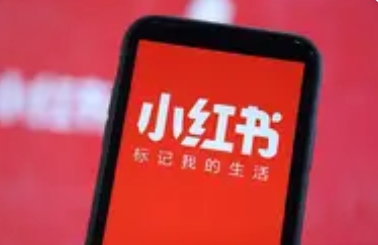 小红书电商从0到1的实战指南