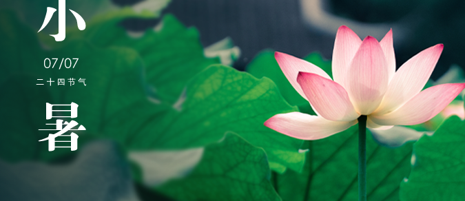 小暑“静”与“动”：传统智慧中的哲学
